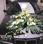 auto 2