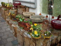 frühling-2